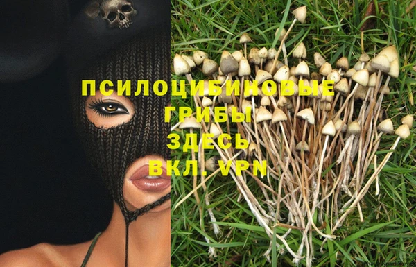 ешки Новозыбков