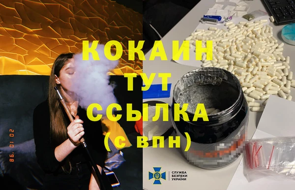 СК Новодвинск