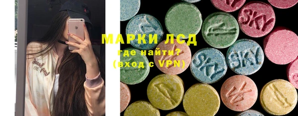 СК Новодвинск