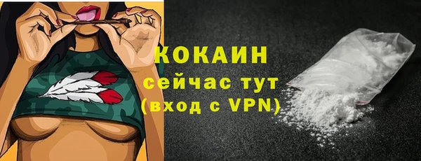ешки Новозыбков
