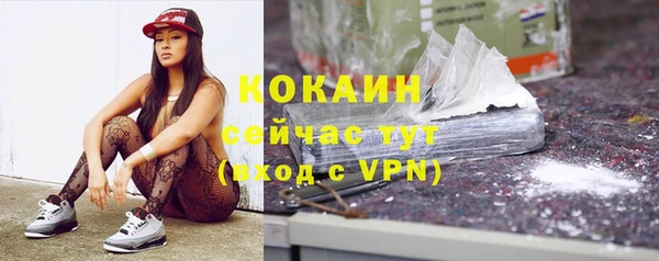 ешки Новозыбков