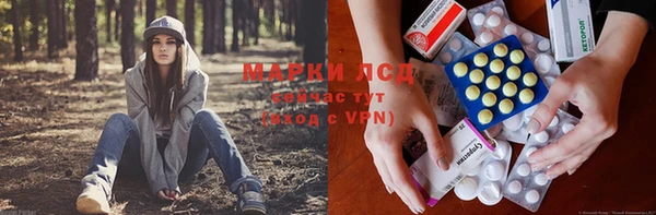 ешки Новозыбков