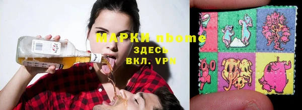 СК Новодвинск