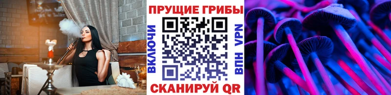 OMG зеркало  Почеп  Галлюциногенные грибы Cubensis 
